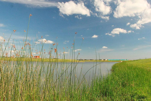 Imagen 5 de 6 de Lote En Venta A La Laguna San Sebastian Area 10 3227