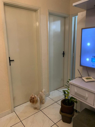 Imagem 3 de 15 de Apartamento Para Locação Em São Paulo, Jardim Laura, 2 Dormitórios, 1 Banheiro, 1 Vaga - L02_2-878471