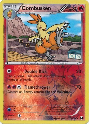 Combusken 16/108 Reverse Holo Poco Comun Pokemon Tcg