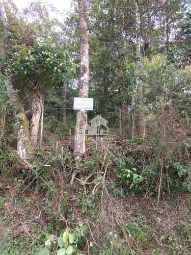 Imagem 8 de 17 de Terreno 40x43 Em Suzano-sp - Ter06