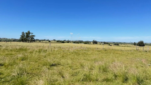 Campo 17 Has Con 9550 M2 Con Costa De Arroyo