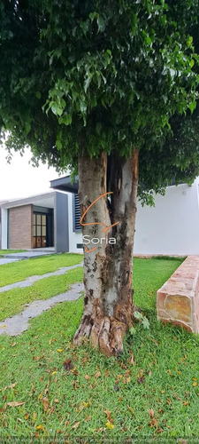 Casa En Lomas De Cocoyoc Morelos