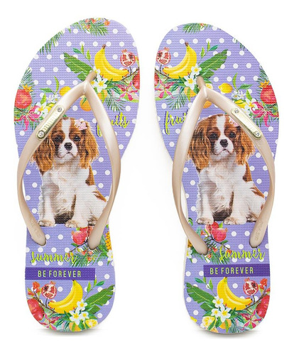 Chinelo Be Forever Cavalier King Fruits Summer Dourado