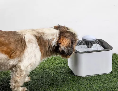 Fuente De Agua Bebedero Para Gatos Y Perros De 2.5 Litros