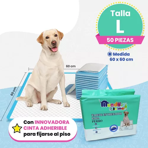 Empapadores Tapetes Absorbentes GimDog Lavanda 60x60 cm 20 unidades