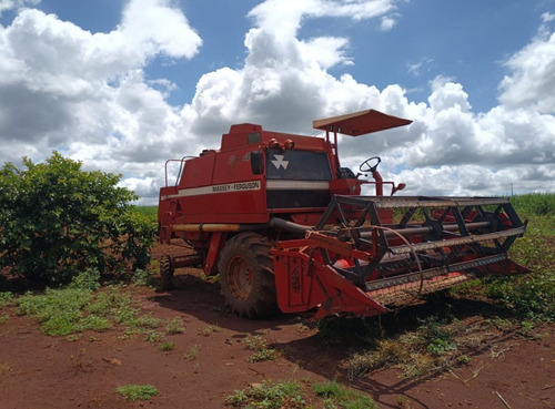 Colhedeira Peneira Longa E Com 2 Plataformas.