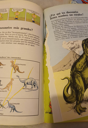 Gran Libro De Preguntas Y Respuestas De Carlitos Charlie (Usado)