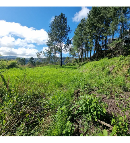 Gran Lote De Terreno En Urbanización Cerrada