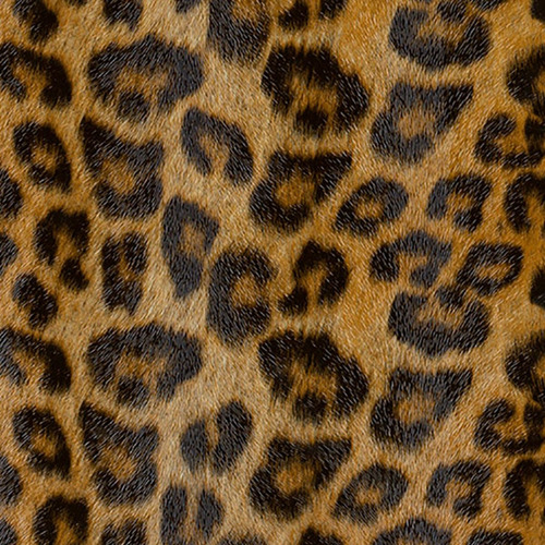 Plástico Adesivo Dekorama Leopardo - Rolo 10m Cor Estampado