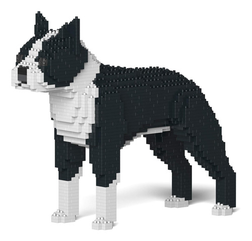 Jekca Boston Terrier 01s-m01