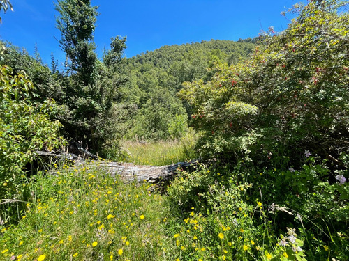 Parcela Grande En Caburgua Sector La Barda, 1 Hectárea