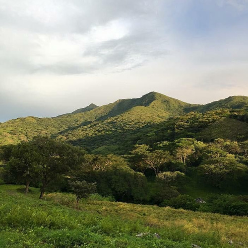  Rancho En Produccion  En Carretera Tonala-pijijiapan