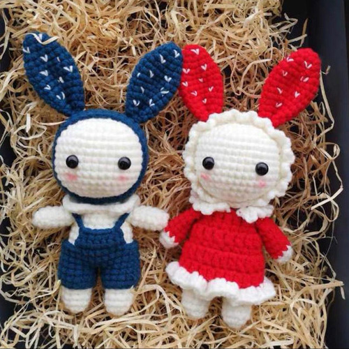 Kit De Ganchillo Conejo Crochet Craft Set Juguete De Tejer A