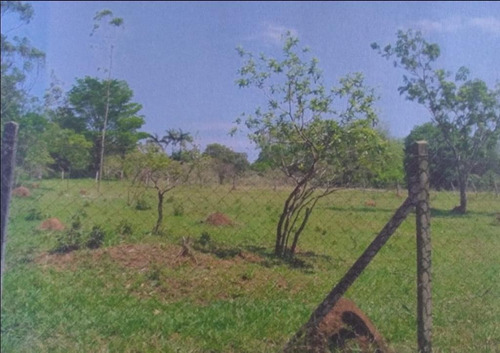 Imagem 4 de 8 de Terreno Amplo - Te2103