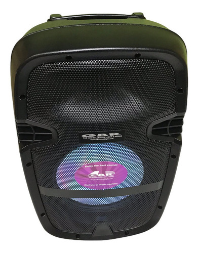 Bafle Parlante Gbr Portatil 10 Mp3 Bat Mic Karaoke Eco Bt