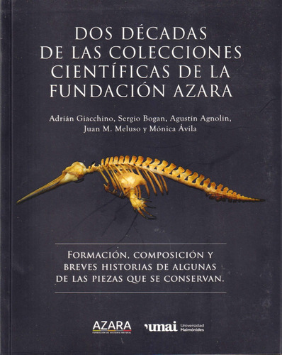 Colecciones De La Fundación Azara, Giacchino