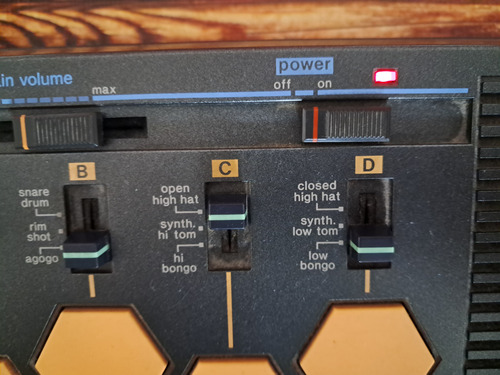 Organo Musical Electrico Casio- Muy Buen Estado Negro (Usado)