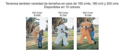 Oso Panda De Peluche Gigante Jumbo 1,40 Cmts + Regalo