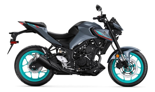 Imagen 5 de 25 de Motocicleta - Yamaha - Mt-03 A