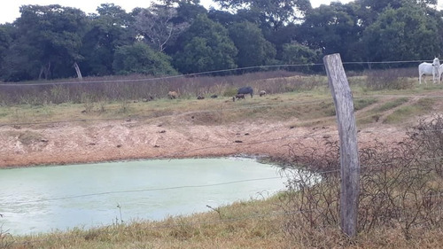 Imagem 15 de 17 de Fazenda - Área Rural A Venda Em Barão De Melgaço - Mt - Fa0191