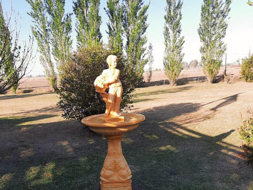 Campo A La Venta En Salto Grande, Santa Fe. 11 Hectareas Con Casa Y Pileta