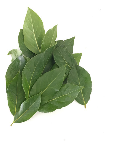 Hojas De Laurel - Especia Aromática En Bolsa