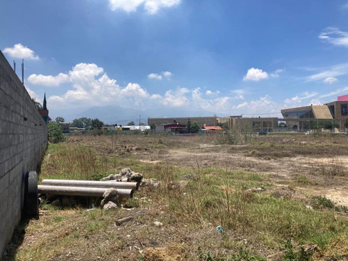 Terreno Comercial En Renta En Montecillo, Texcoco, México