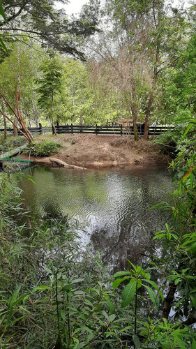 Ciudad Raiz, Vende Hermoso Campo En Valdivia 