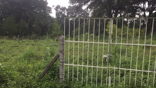 Imagen 4 de 6 de Terreno Campestre En Santa María Ahuacatitlán / Cuernavaca - Maz-126-tca