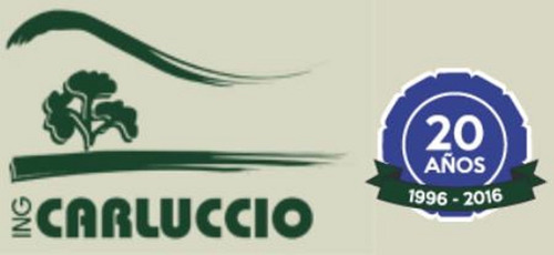 Imagen 7 de 8 de Bandeja Germinacion Carluccio Cultivo Almacigo Huerta X 5uni