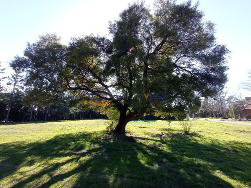 Lote En Venta En Country San Diego Moreno