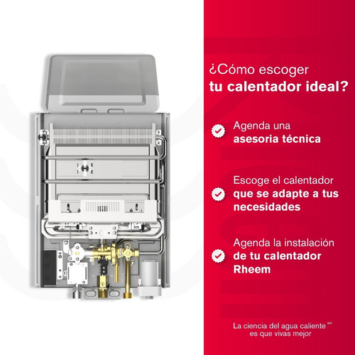 Calentador De Agua 5.5lt Gas Natural Tiro Natural Rheem