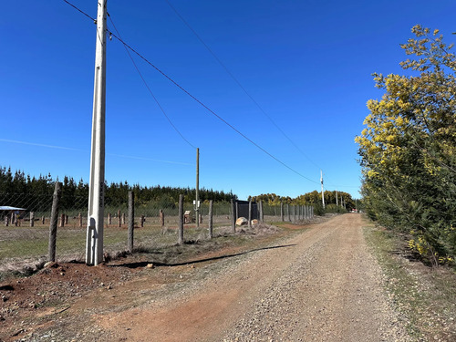 Oportunidad Parcela 5.000 Mts (93879)