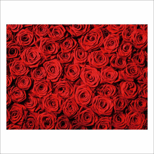 Fundo Fotográfico Textura Rosas Em Tecido 2,20m X1,50m F506 Cor Branco Desenho impresso HORIZONTAL