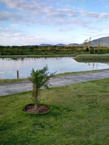Terreno À Venda, 603 M²- Ratones - Florianópolis/sc - Te0215