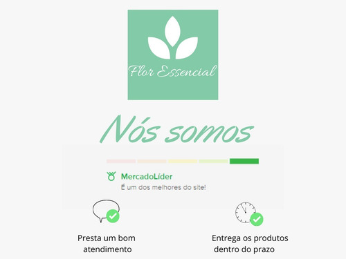 Imagem 3 de 4 de 2 Licoreira Garrafa De Vidro 280ml Bebidas Pronta Entrega