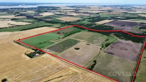 Estancia Con Casco Principal Campo Agrícola 200 Ha En Venta Carmelo Colonia Uruguay