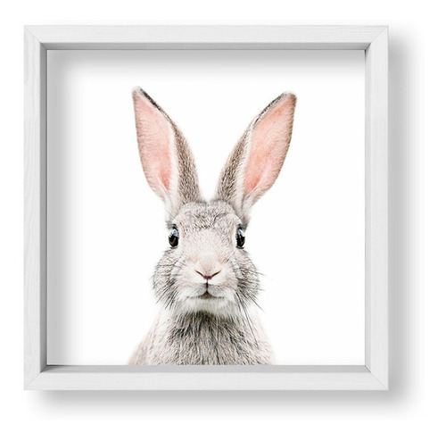 Cuadros Nordicos 20x20 Box Blanco Bunny