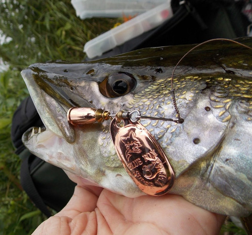 Cucharitas Para Pesca Marca Blue Fox #3 - 8.5gm