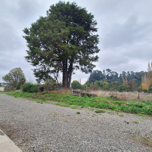 Venta Terreno Lautaro, 15500 Mt2 Ernesto Riquelme