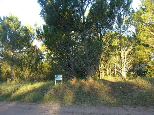 Lote A Media Cuadra De Carilo