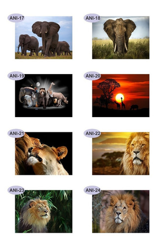 Imagem 10 de 10 de Papel Parede Adesivo Pet Cachorro Gato 2,30 Larg X 1,60 Alt
