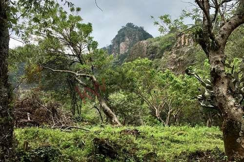 Terreno En Venta En Tepoztlan, Morelos