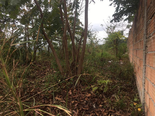 Imagem 8 de 11 de Lote Para Venda Em Ribeirão Das Neves, Rosaneves - L25_1-1358691