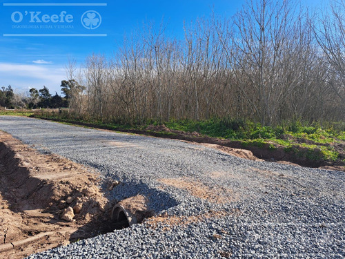 Lotes En Venta En El Pato - Berazategui - Terrenos Desde 295 M2