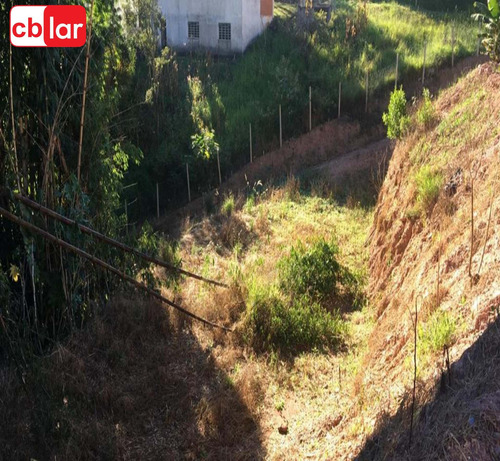 Imagem 4 de 15 de Terreno - Te00153 - 69909909