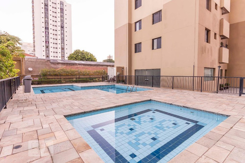 Apartamento À Venda - Água Fria, 2 Quartos, 52 - S893101696
