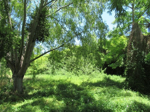 Imagen 14 de 16 de Sitio Con Acceso A Estero Puangue