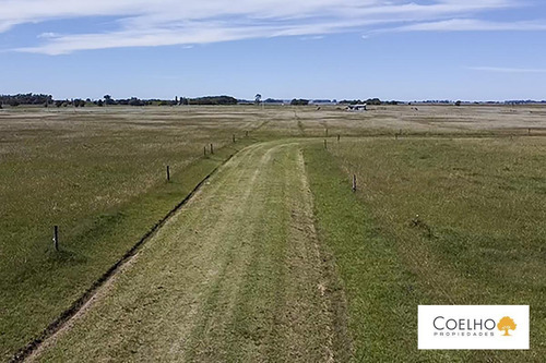 Imagen 25 de 30 de Terreno - Carmen De Areco