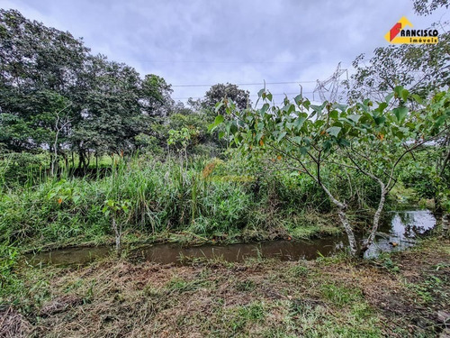 Imagem 25 de 26 de Chácara À Venda, 2 Quartos, Área Rural De Divinópolis - Divinópolis/mg - 45238